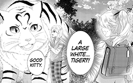 Chapter 32