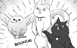 Chapter 16