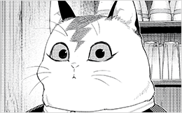 Chapter 50