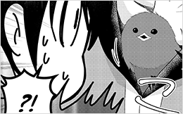 Chapter 19