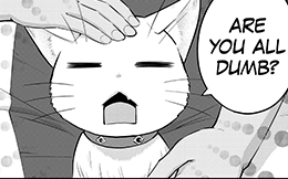 Chapter 48