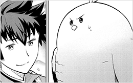 Chapter 55