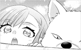 Chapter 12