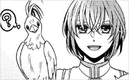 Chapter 20